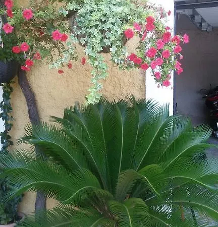 Mozara 3*