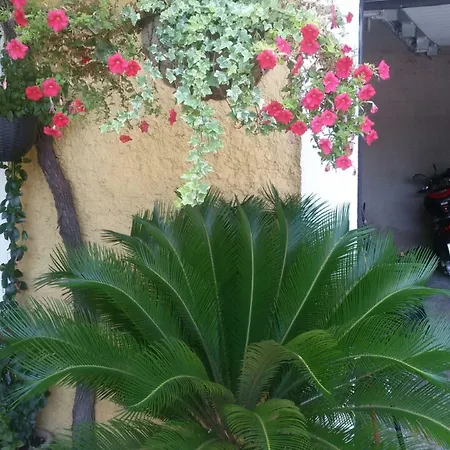 Gasthuis Mozara Trsteno