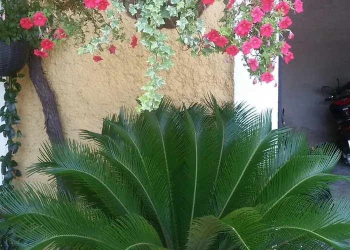 Guest house Mozara Trsteno